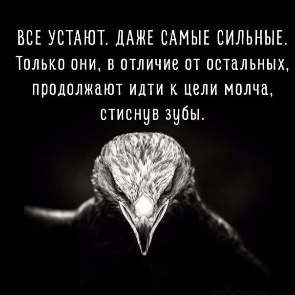 ВСЕ УСТАЮТ ДАЖЕ САМЫЕ СИЛЬНЫЕ Только они в отличие от остальных продолжают идти к цели молча стиснув зубы