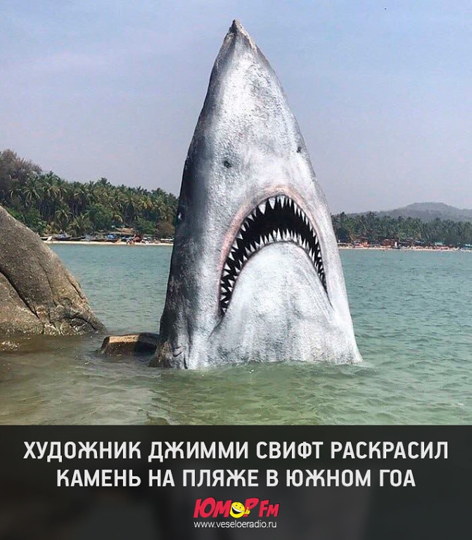 За ь ХУДОЖНИК ДЖИММИ СВИФТ РАСКРАСИЛ КАМЕНЬ НА ПЛЯЖЕ В ЮЖНОМ ГОА 51 им иезеюеааю ш