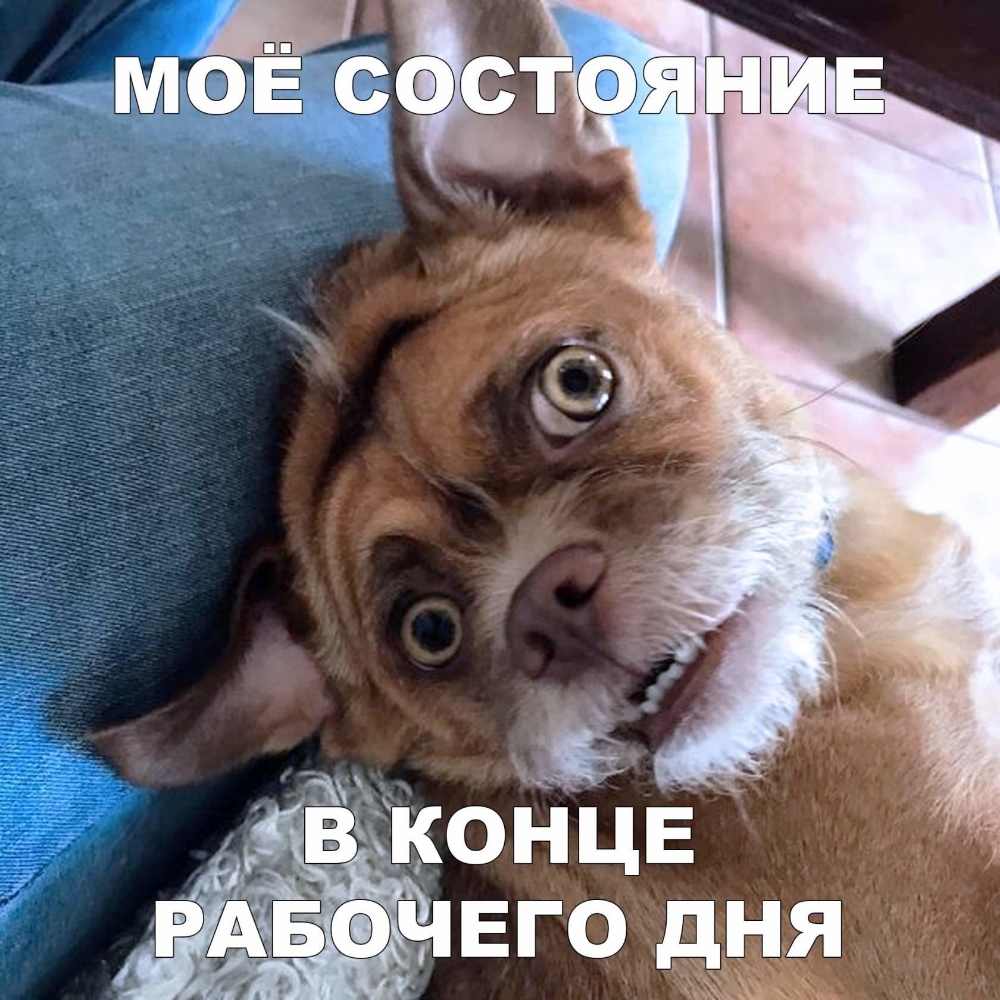 н РА 4 ед ЧЕГО дНЯ чъ_
