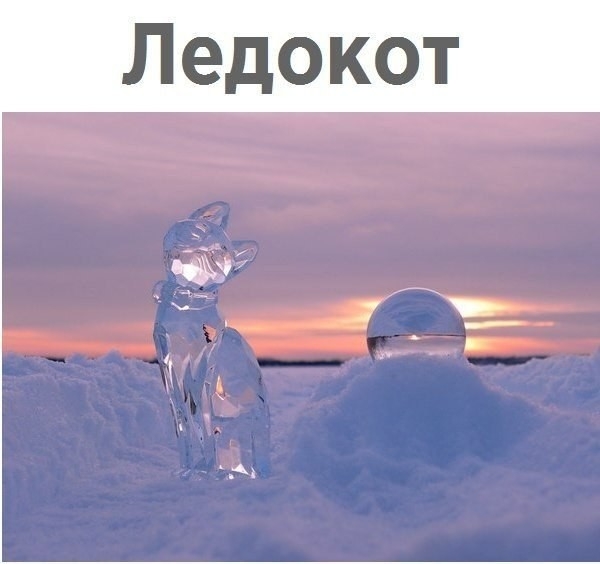Ледокот