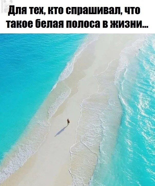 для ТЕХ НТО БППЗШИВШЪ что такое белая полоса В ЖИЗНИ