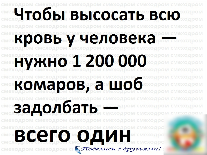 Чтобы высосать всю кровь у человека нужно 1 200 000 комаров а шоб задолбать всего один в пдд