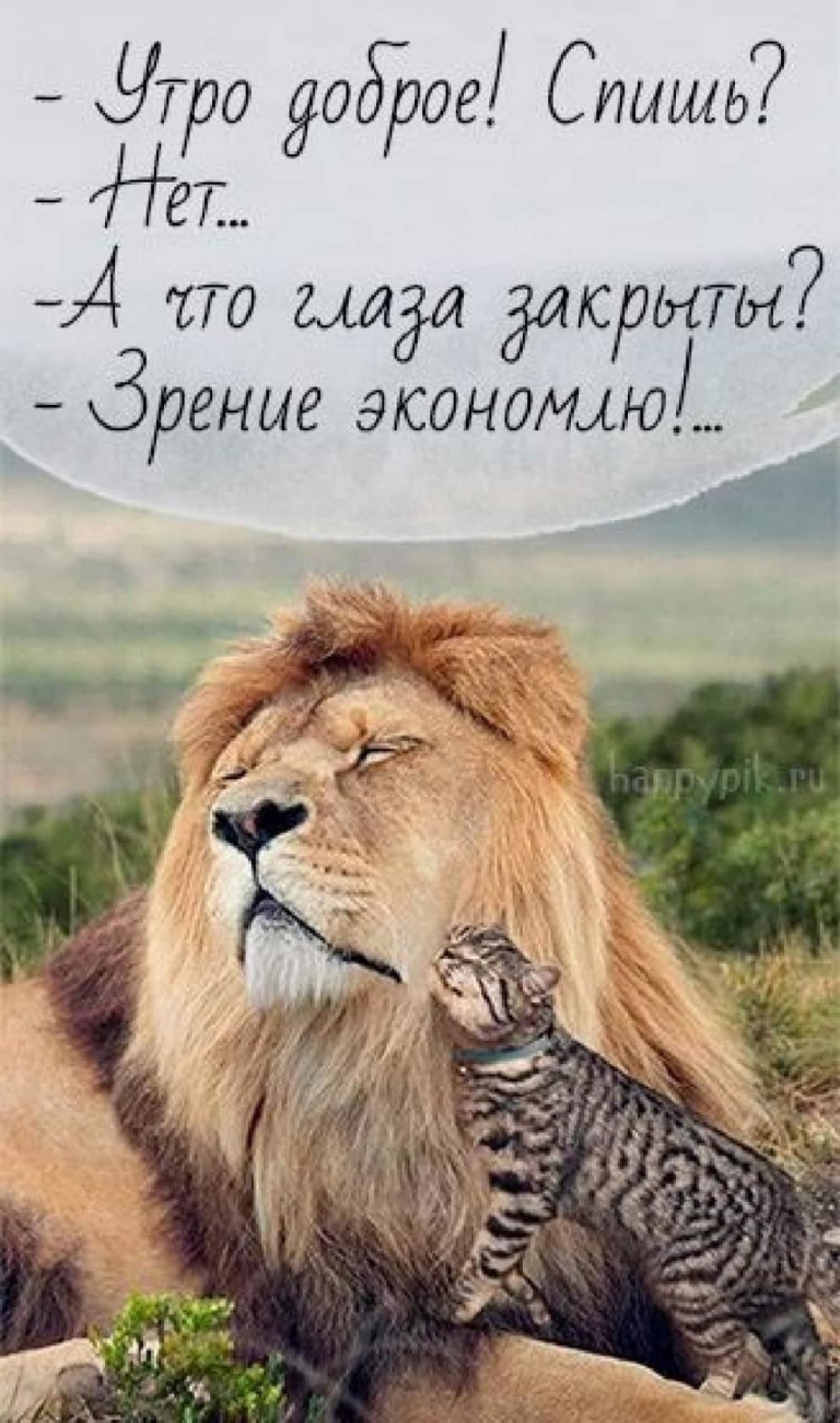 УТ 0 0508 СИЫШЬ 29 74 ЕТО 0261 Закрыты _ ЗРЕНИЕ ЭЮОНОМфЮ