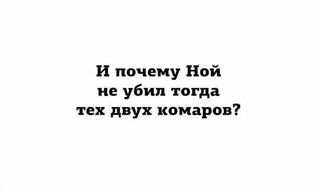 И почему Ной не убил тогда тех двух комаров