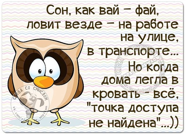 Сон как вай фай повит везде на работе на улице в транспорте Но когда дома легла в кровать всё точка доступа не найдена