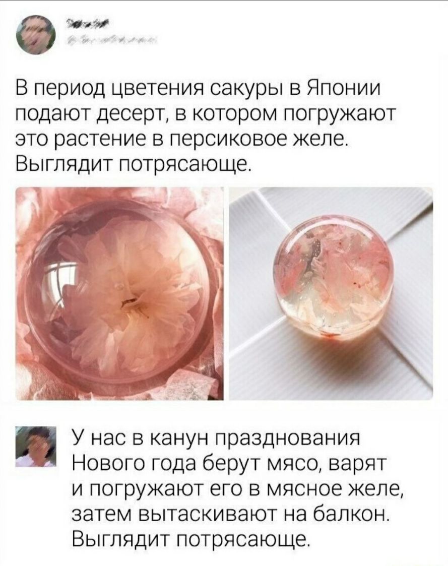 А В период цветения сакуры в Японии подают десерт в котором погружают это растение в персиковое желе Выглядит потрясающе __ _ У нас в канун празднования Нового года берут мясо варят и погружают его в мясное желе затем вытаскивают на балкон Выглядит потрясающе
