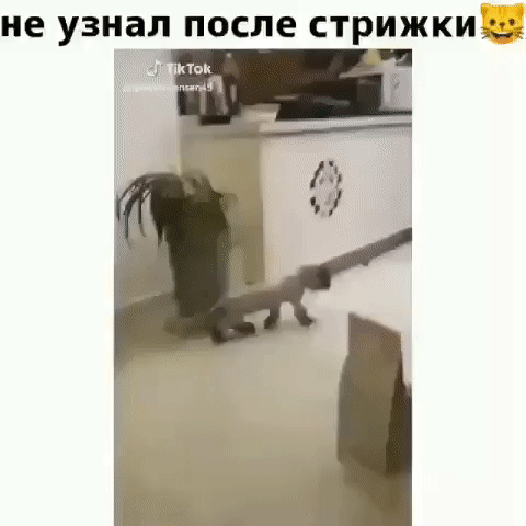 не узнал ПОСЛЕ СТРИЖКИ