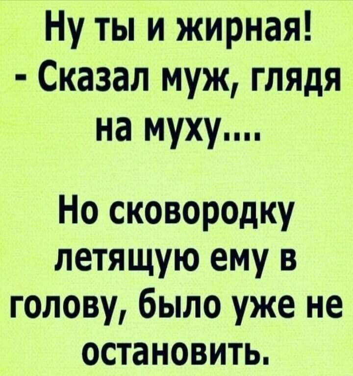 Ну ты и жирная Сказал муж глядя на муху Но сковор0дку летящую ему в голову было уже не остановить