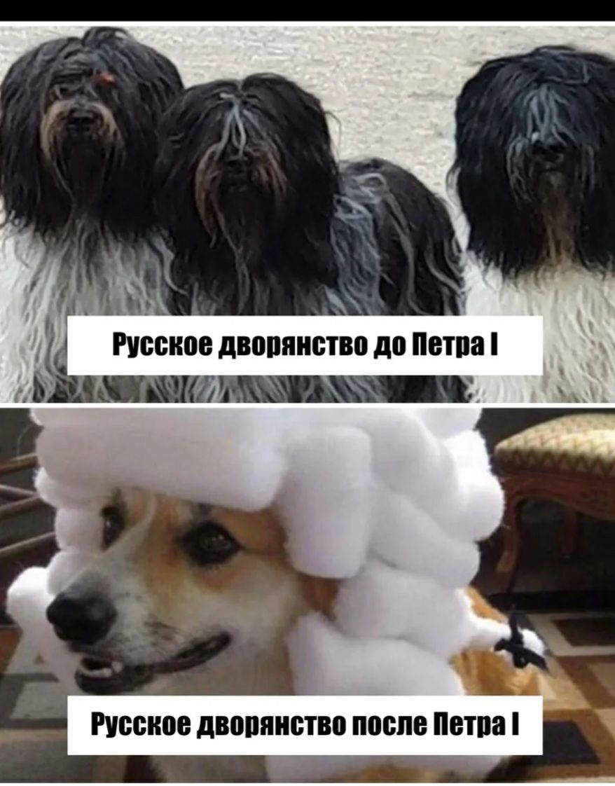 0010 двопянство после 01118