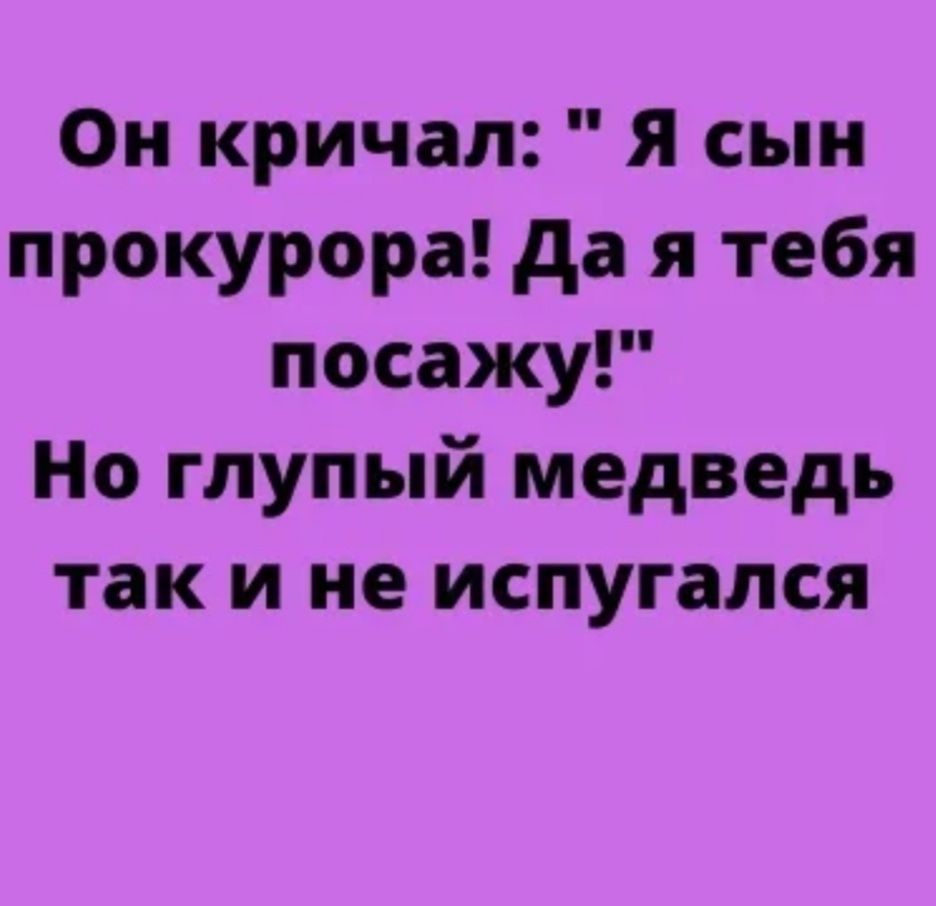 Он кричал я сын прокурора да я тебя посажу Но глупый медведь так и не испугался