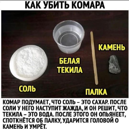 КАК УБИТЬ КОМАРА КОМАР ПОДУМАЕТ ЧТО СОЛЬ ЭТО САХАР ПОСЛЕ СОЛИ У НЕГО НАСТУПИТ ЖАЖдА И ОН РЕШИТ ЧТО ТЕКИЛА ЭТО ВОДА ПОСЛЕ ЭТОГО ОН ОПЬЯНЕЕТ СПОТКНЕТСЯ ОБ ПАЛКУ УДАРИТСЯ ГОЛОВОЙ О КАМЕНЬ И УМРЕТ