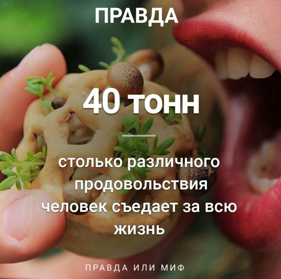 ГПЧАВДЪА СТОЛЬКО РЭЗЛИЧНОГО народовольствия ОВЭЁСЪЭДЭЭТ 38 ВСЮ ЖИЗНЬ