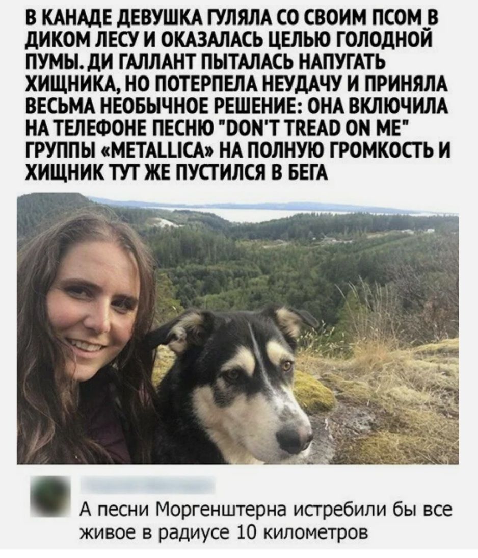 В КАНАДЕ дЕВУШКА ГУЛЯЛА СО СВОИМ ПСОМ _В дИКОМ ЛЕСУ И ОКАЗАЛАСЬ ЦЕЛЫО ГОЛОДНОЙ ПУМЫ дИ ГАЛЛАНТ ПЫТАЛАСЬ НАПУГАТЬ ХИЩНИКА НО ПОТЕРПЕЛА НЕУдАЧУ И ПРИНЯЛА ВЕСЬМА НЕОБЫЧНОЕ РЕШЕНИЕ ОНА ВКЛЮЧИЛА НА ТЕЛЕФОНЕ ПЕСНЮ ООНТ ТКЕАО ОН МЕ ГРУППЫ МЕТАЦіСА НА ПОЛНУЮ ГРОМКОСТ Ь И ХИЩНИК ТУТ ЖЕ ПУСТИЛСЯ В БЕГА А песни Моргенштерна истребили бы все живое в радиусе 10 километров