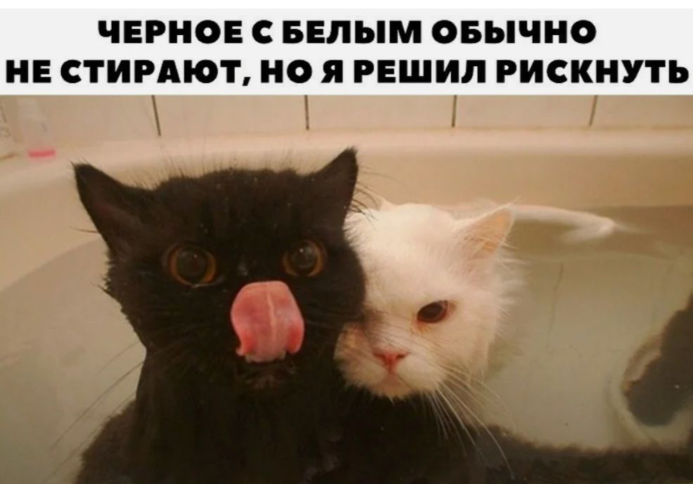 ЧЕРНОЕ С БЕЛЫМ ОБЫЧНО НЕ СТИРАЮЪ НО Я РЕШИЛ РИСКНУТЬ