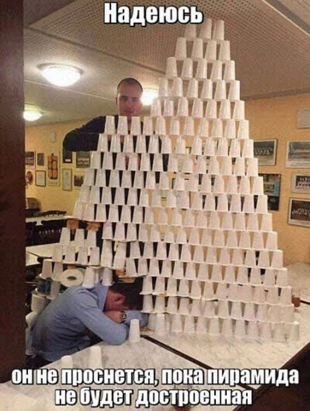 Ш в йог  ц е  п  шш'