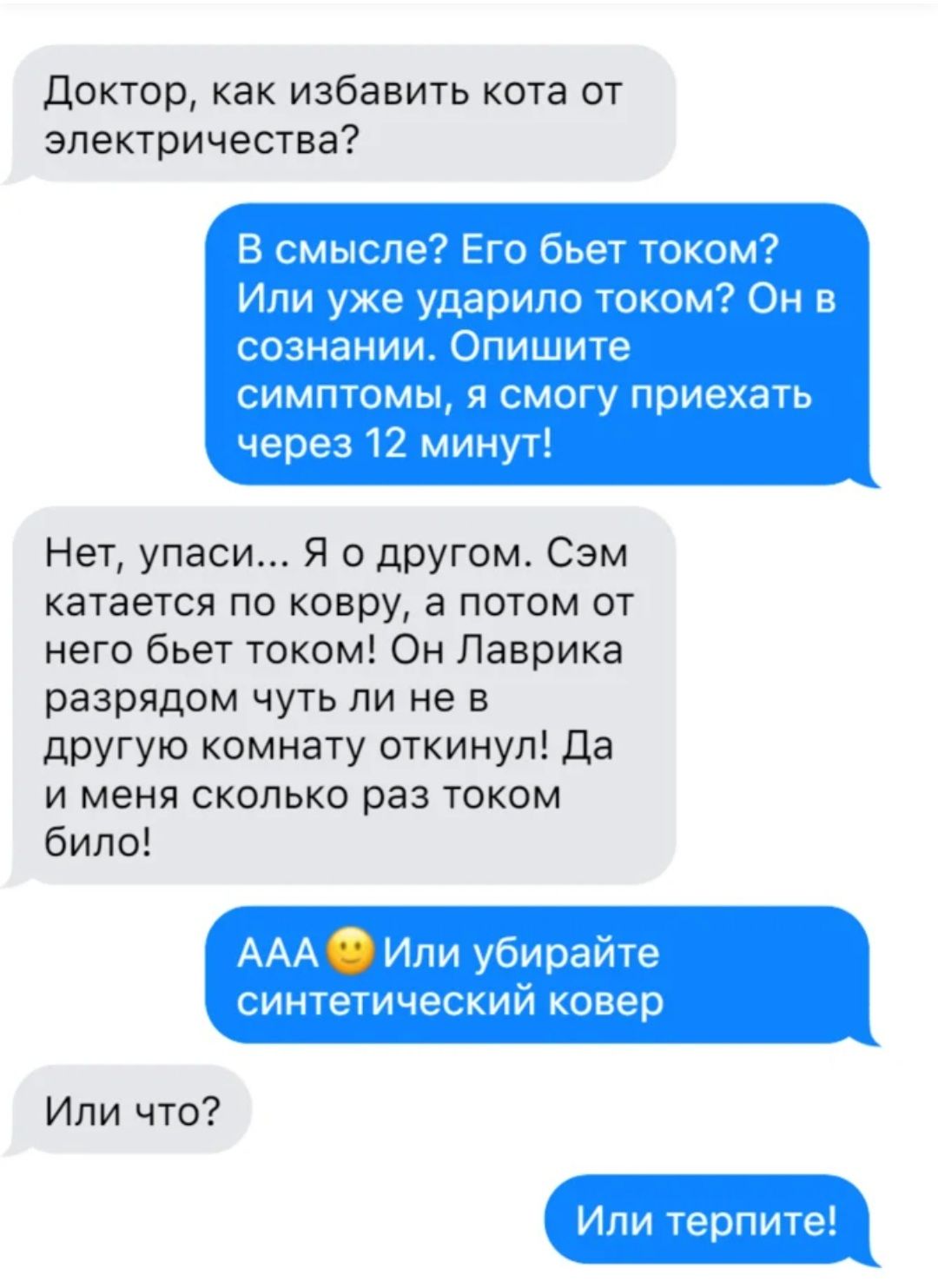 Доктор как избавить кота от электричества Нет упаси Я о другом Сэм катается по ковру а потом от него бьет током Он Лаврика разрядом чуть ли не в другую комнату откинул Да и меня сколько раз током било Или что