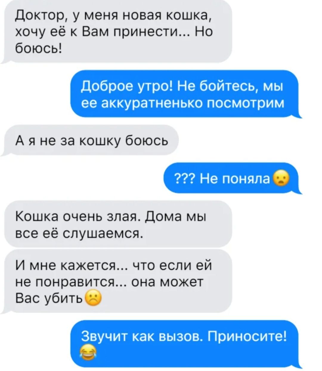 Доктор у меня новая кошка хочу её к Вам принести Но боюсь Доброе утро Не бойтесь мы ее аККУОЭТНЭНЬКО ПОСМОТРИМ А я не за кошку боюсь Не поняла Кошка очень злая Дома мы все её слушаемся И мне кажется что если ей не понравится она может Вас убитьб Звучит как вызов Приносите