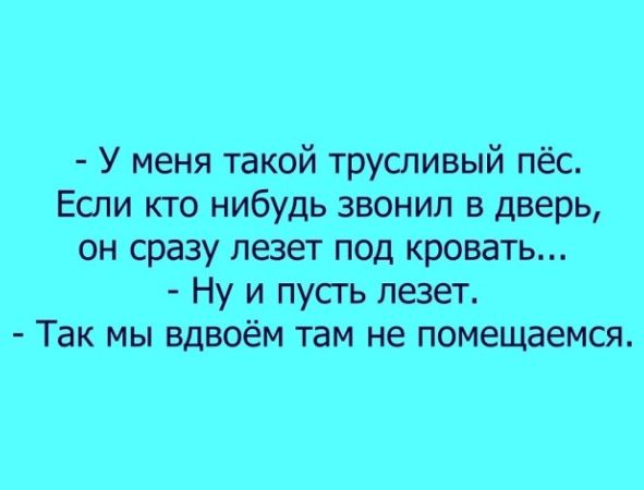 У меня такой трусливый пёс Если кто нибудь звонил в дверь он сразу лезет под кровать Ну и пусгь лезет Так мы вдвоём там не помещаемся
