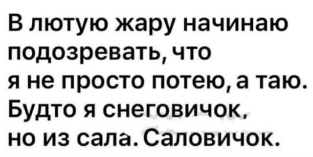 В лютую жару начинаю подозревать что я не просто потею а таю Будто я снеговичок но из сала Саловичок