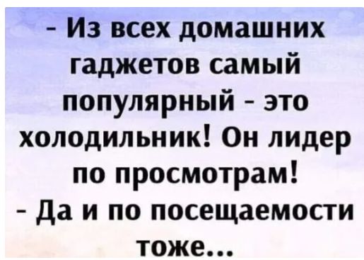 Из всех домашних гаджетов самый популярный это холодильник Он лидер по просмотрам да и по посещаемости тоже