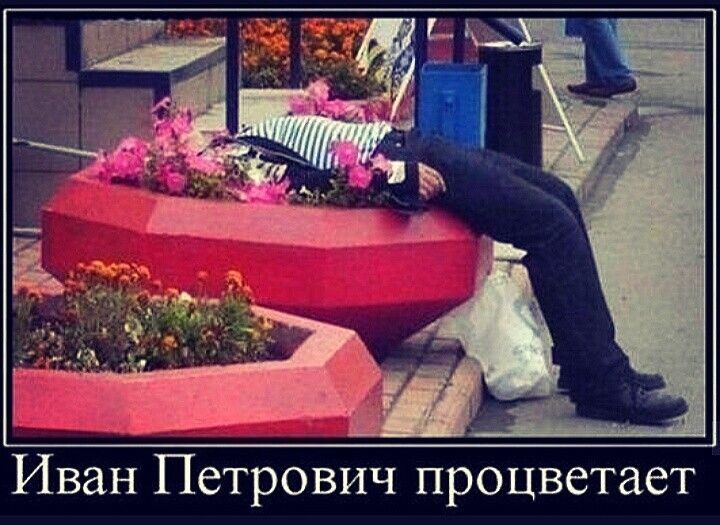 Иван Петрович процветает