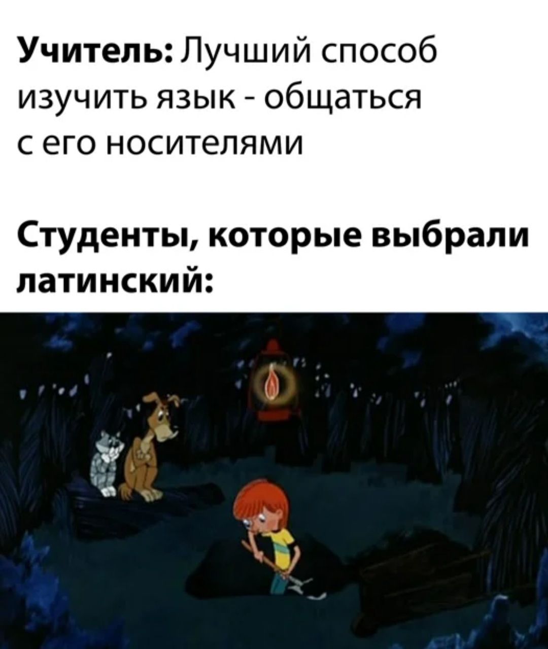 Учитель Лучший способ ИЗУЧИТЬ ЯЗЫК ОбЩдТЬСЯ С ЭГО НОСИТеЛЯМИ Студенты которые выбрали латинский
