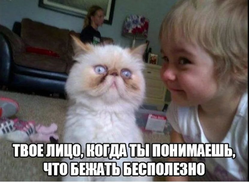 ПШ ЛИШШЩШТЫ ВНИМАЕШЁ чтоШЩШЬБЕспопЕзно