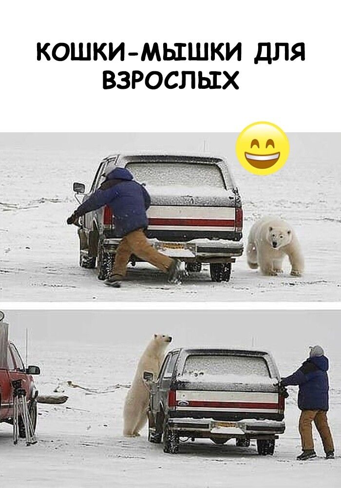 КОШКИ МЫШКИ ДЛЯ ВЗРОСЛЫХ