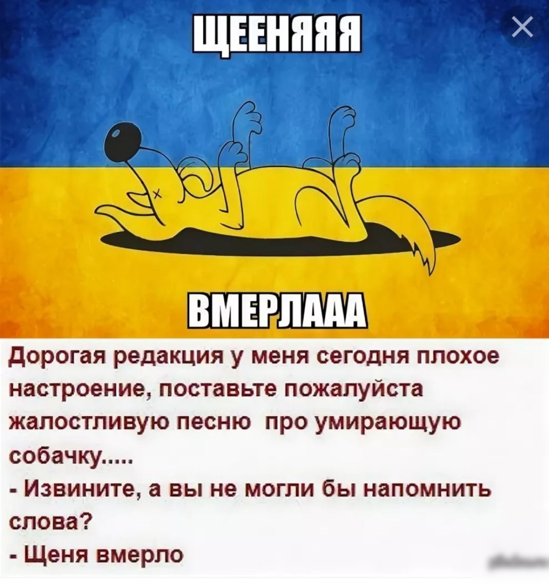 дорогая редакция у меня сегодня плохое настроение поставьте пожалуйста жалостливую песню про умирающую собачку Извините а вы не могли бы напомнить слова Щеня вмерло