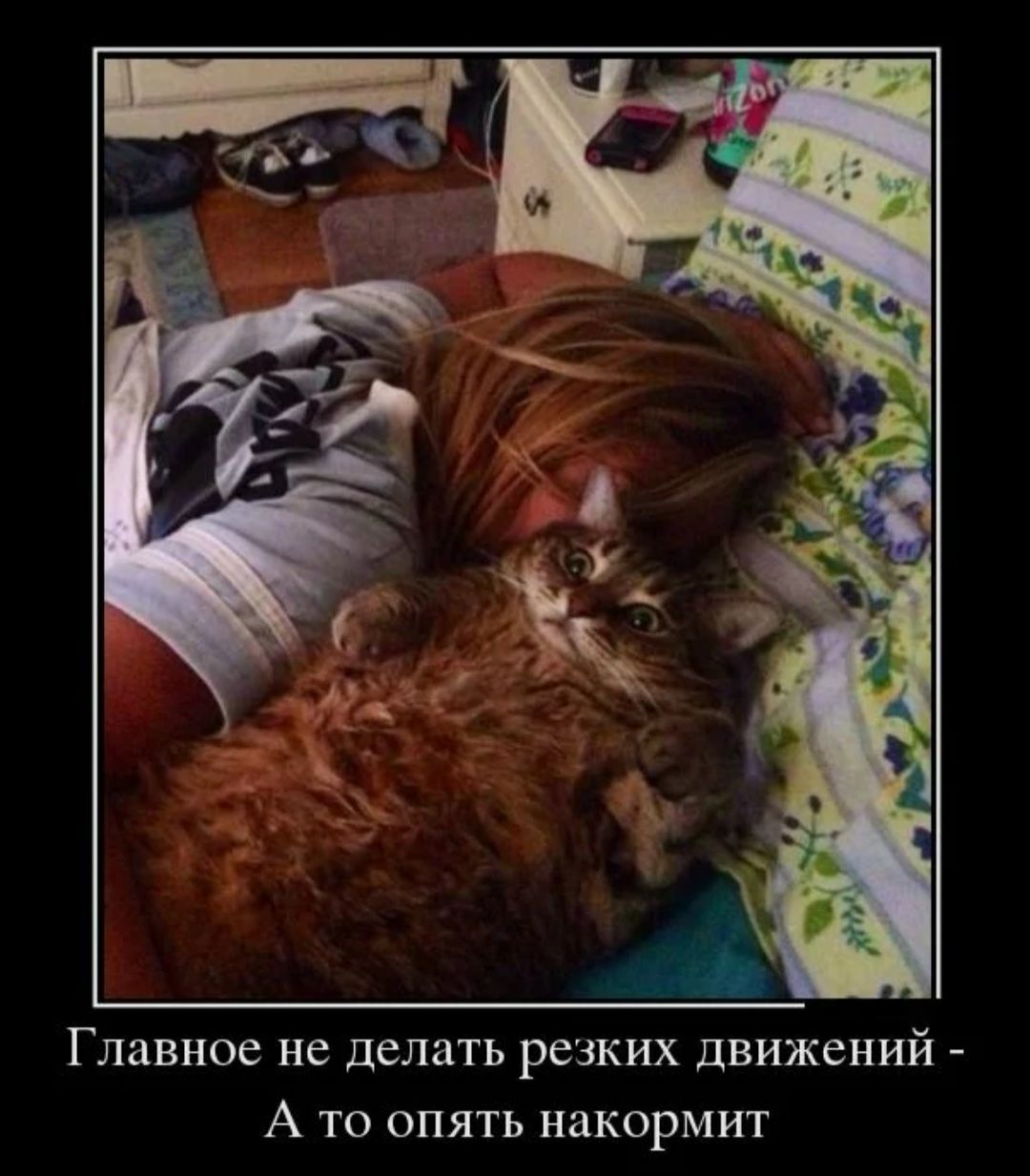 Главное не делать резких движений А то опять накормит