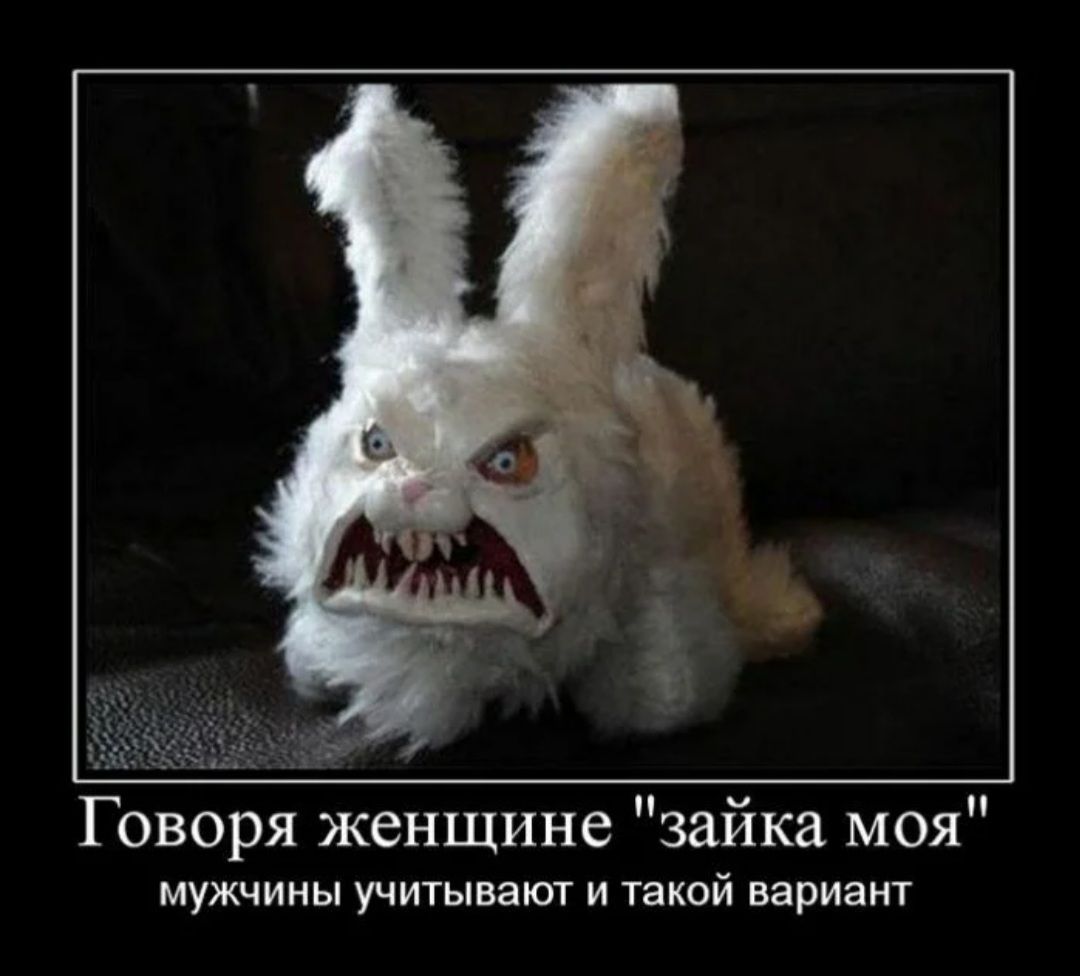 Говоря женщине зайка моя МУЖЧИНЫ УЧИТЫВЭЮТ И ТЗКОЙ ВЗРИЭНТ