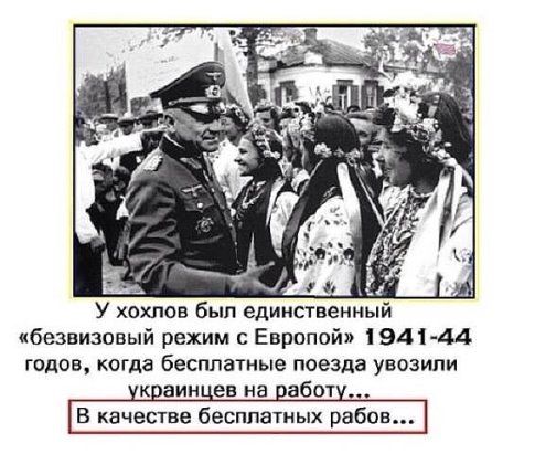 У хохлов был единственный безвизовый режим с Европой 1941 44 годов когда бесплатные поезда увозили украинцев на работу В качестве бесплатных рабов