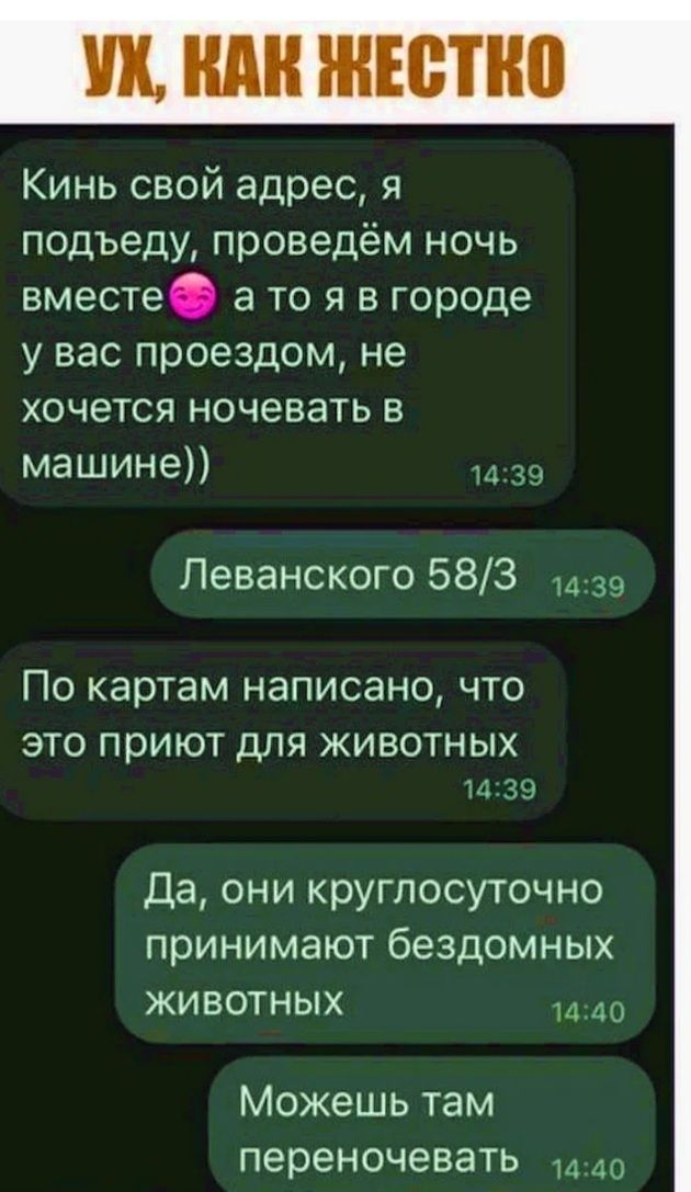 Кинь свой адрес я подъеду проведём ночь вместе а то я в городе у вас проездом не хочется ночевать в машине 1439 Леванского 583 1439 По картам написано что ЭТО ПРИЮТ ДЛЯ ЖИВОТНЫХ 1439 Да ОНИ КРУГЛОСУТОЧНО принимают бездомных ЖИВОТНЫХ 1440 Можешь там переночевать