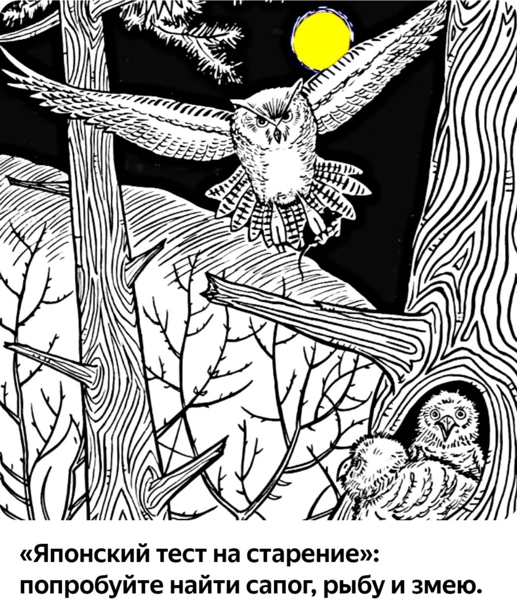 Японский тест на старение попробуйте найти сапог рыбу и змею