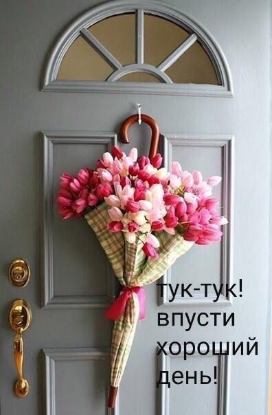 Жукті впусти