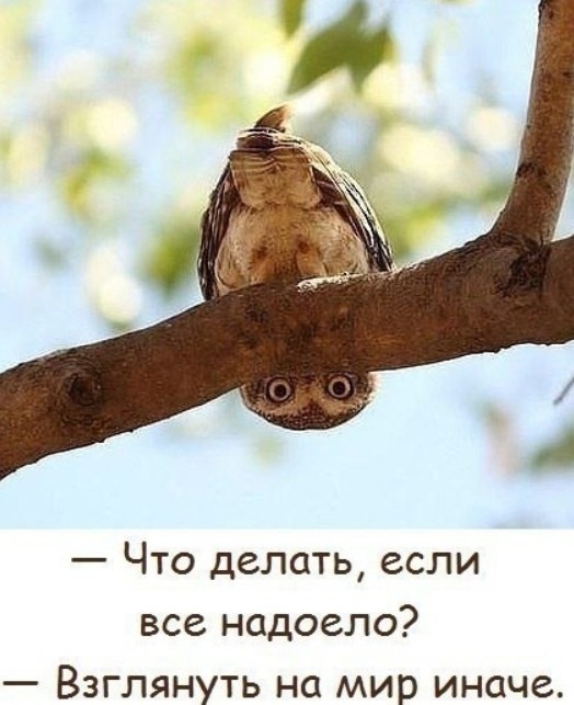 Что делать если все надоело Взглянуть на мир иначе
