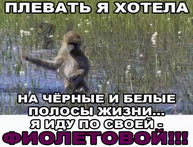 ПЦЕВАТЬ Я ХОТЕПАР ЩУНАЩЕРНЫЕ и БЕль_і5д_ полосы жизни Ё ШШЩШКФмош