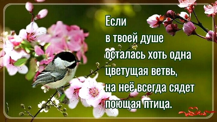 в твоей душе ёталась хоть одна цветущая ветвь уна неё всегда сядет поющая Птица
