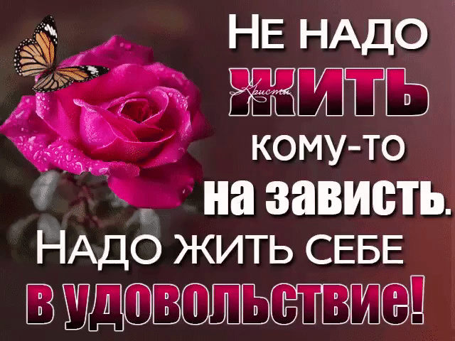 на зависть НАДО ЖИТЬ СЕБЕ ДОВОЛЬСтВИе