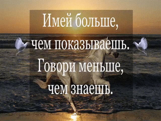 фи чем показываешь м Говори мейьше чем знаем в ве