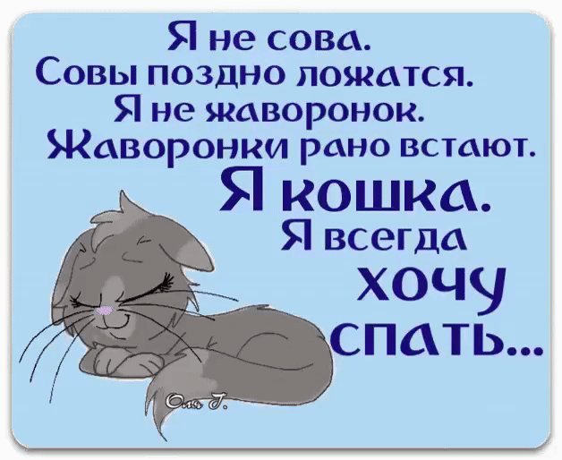 Я не сова Совы поздно ложатся Я не жаворонок Жаворонки рано встают Я кошка Я всегда хочу спать