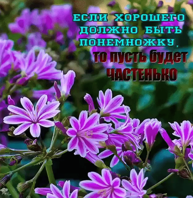 ЛЖЁРЪВЫ ть ннмнажкв 8Ш Шёцз ш В И