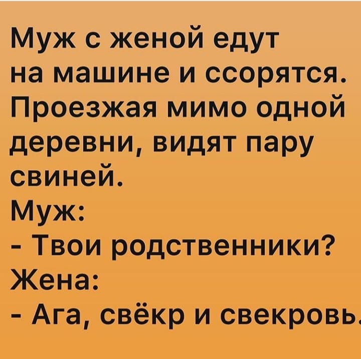 Муж с женой едут на машине и ссорятся Проезжая мимо одной деревни видят пару свиней Муж Твои родственники Жена Ага свёкр и свекровь