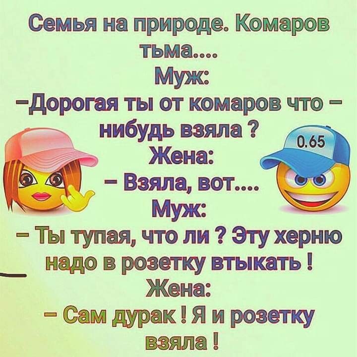 Семья на природе Комаров тьма Муж дорогая ты от комаров что нибудь взяла Жена Взяла вот Ты тупая что ли Этухерню надо в роэежу втыкать Жена СамдуракЯиросветку взяло