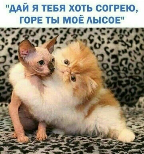 дАЙ Я ТЕБЯ ХОТЬ СОГРЕЮ ГОРЕ ТЫ МОЁ АЫСОЕ