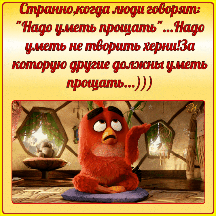 цв прощщпщоож щ3са1 00