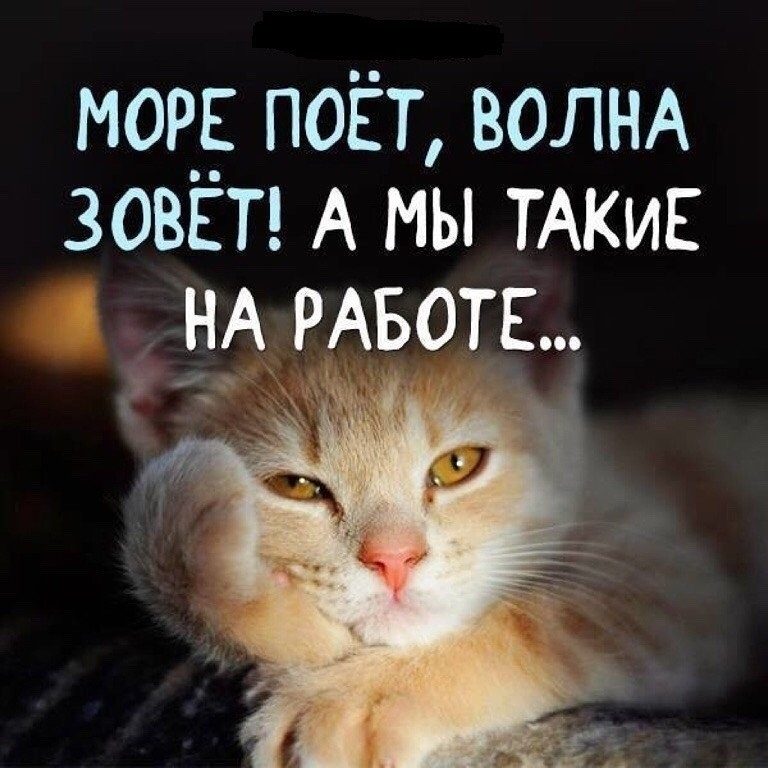 мор поёт ВОЛНА зови А мы ТАКИЕ НА РАБОТЕ