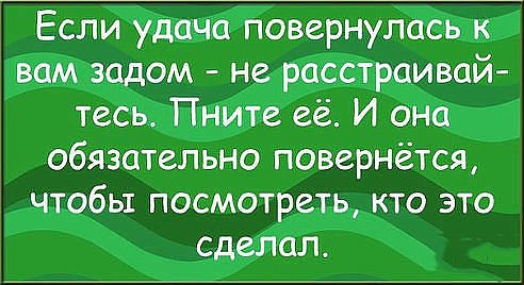 Если удача повернулась к вам задом не расстраивай тесь Пните её И она обязательно повернётся чтобы посмотреть кто это сделал