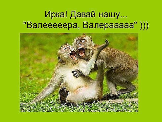 Ирка давай нашу Валеаееера алерваааа