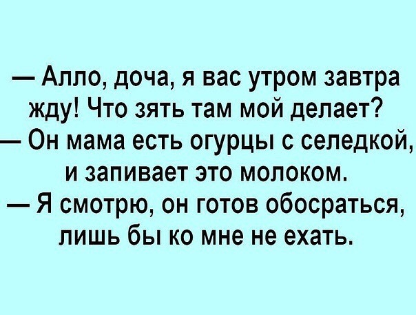 Алло доча я вас утром завтра жду Что зять там мой делает Он мама есть огурцы с селедкой и запивает это молоком Я смотрю он готов обосраться лишь бы ко мне не ехать